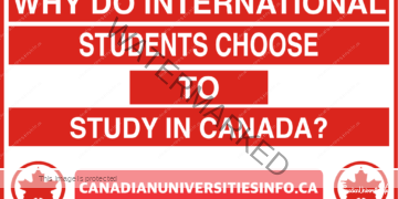 Why Do International Students Choose to Study in Canada ?